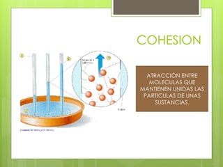 COHESION 
ATRACCIÓN ENTRE 
MOLECULAS QUE 
MANTIENEN UNIDAS LAS 
PARTICULAS DE UNAS 
SUSTANCIAS. 
 
