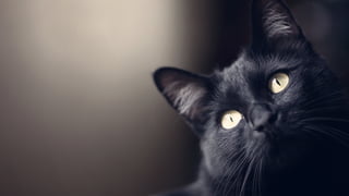 Watson Customer Engagement 3/7/17
 