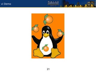 vi Demo




          21
 