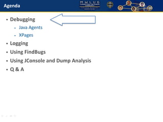 Java: Finding Bugs, Fixing Bugs in IBM Domino Designer and XPages | PDF