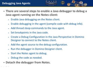 Java: Finding Bugs, Fixing Bugs in IBM Domino Designer and XPages | PDF