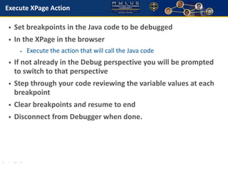 Java: Finding Bugs, Fixing Bugs in IBM Domino Designer and XPages