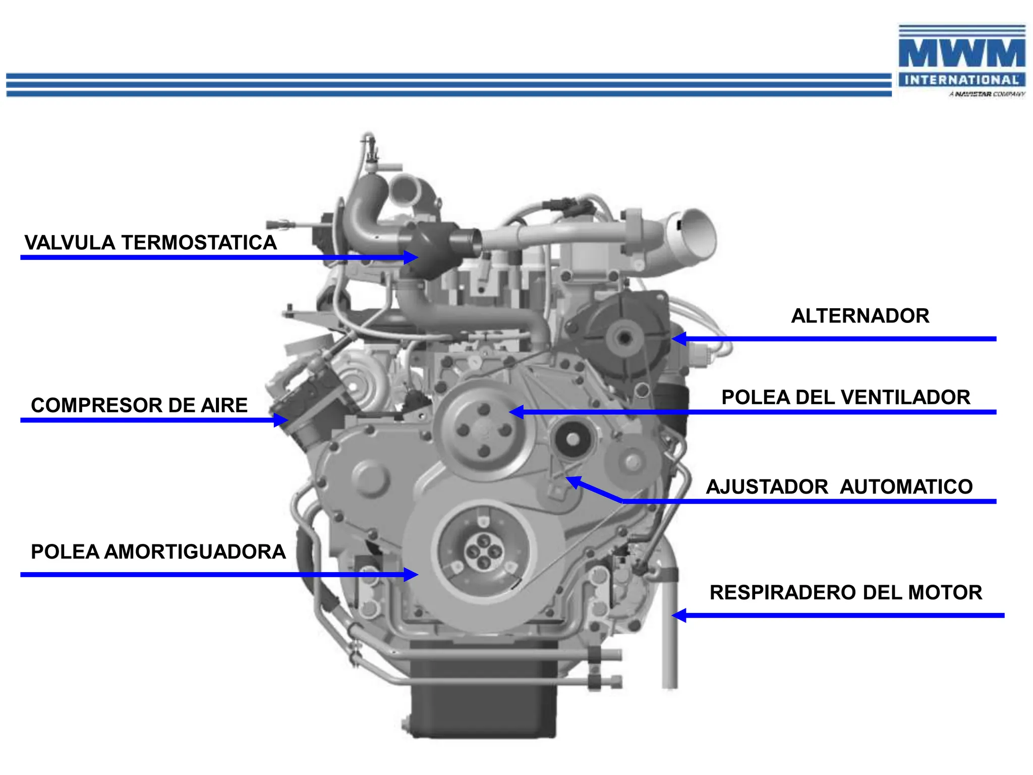 VALVULA TERMOSTATICA
COMPRESOR DE AIRE
POLEA AMORTIGUADORA
ALTERNADOR
RESPIRADERO DEL MOTOR
POLEA DEL VENTILADOR
AJUSTADOR AUTOMATICO
 