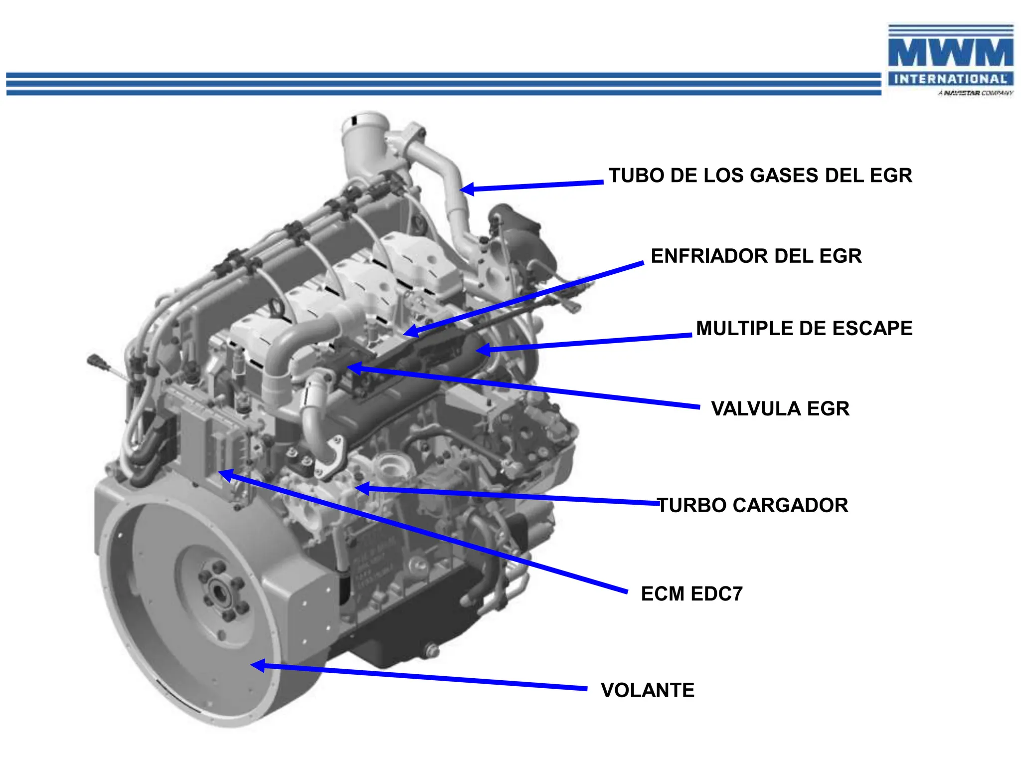 ENFRIADOR DEL EGR
MULTIPLE DE ESCAPE
TURBO CARGADOR
ECM EDC7
TUBO DE LOS GASES DEL EGR
VOLANTE
VALVULA EGR
 