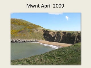 Mwnt April 2009 