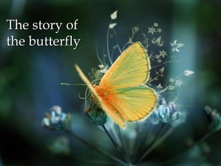 10/04/17 Dilla Davis 14
The story ofThe story of
the butterflythe butterfly
 