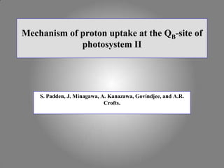 Mechanism of proton uptake at the QB-site of photosystem II S. Padden, J. Minagawa, A. Kanazawa, Govindjee, and A.R. Crofts. 