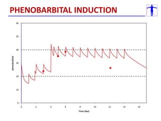 PHENOBARBITAL INDUCTION
 