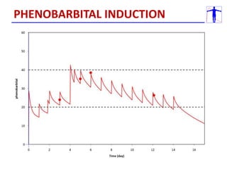 PHENOBARBITAL INDUCTION
 
