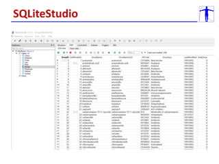 SQLiteStudio
 
