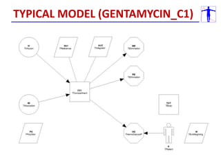 TYPICAL MODEL (GENTAMYCIN_C1)
 