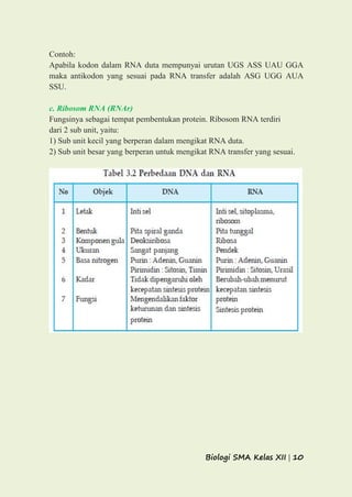 Biologi SMA Kelas XII | 10
Contoh:
Apabila kodon dalam RNA duta mempunyai urutan UGS ASS UAU GGA
maka antikodon yang sesuai pada RNA transfer adalah ASG UGG AUA
SSU.
c. Ribosom RNA (RNAr)
Fungsinya sebagai tempat pembentukan protein. Ribosom RNA terdiri
dari 2 sub unit, yaitu:
1) Sub unit kecil yang berperan dalam mengikat RNA duta.
2) Sub unit besar yang berperan untuk mengikat RNA transfer yang sesuai.
 
