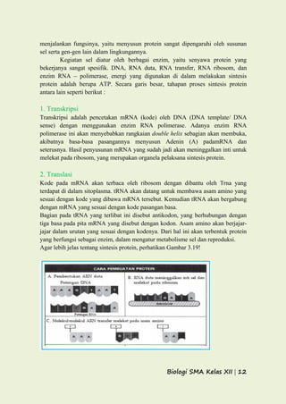 Biologi SMA Kelas XII | 12
menjalankan fungsinya, yaitu menyusun protein sangat dipengaruhi oleh susunan
sel serta gen-gen lain dalam lingkungannya.
Kegiatan sel diatur oleh berbagai enzim, yaitu senyawa protein yang
bekerjanya sangat spesifik. DNA, RNA duta, RNA transfer, RNA ribosom, dan
enzim RNA – polimerase, energi yang digunakan di dalam melakukan sintesis
protein adalah berupa ATP. Secara garis besar, tahapan proses sintesis protein
antara lain seperti berikut :
1. Transkripsi
Transkripsi adalah pencetakan mRNA (kode) oleh DNA (DNA template/ DNA
sense) dengan menggunakan enzim RNA polimerase. Adanya enzim RNA
polimerase ini akan menyebabkan rangkaian double helix sebagian akan membuka,
akibatnya basa-basa pasangannya menyusun Adenin (A) padamRNA dan
seterusnya. Hasil penyusunan mRNA yang sudah jadi akan meninggalkan inti untuk
melekat pada ribosom, yang merupakan organela pelaksana sintesis protein.
2. Translasi
Kode pada mRNA akan terbaca oleh ribosom dengan dibantu oleh Trna yang
terdapat di dalam sitoplasma. tRNA akan datang untuk membawa asam amino yang
sesuai dengan kode yang dibawa mRNA tersebut. Kemudian tRNA akan bergabung
dengan mRNA yang sesuai dengan kode pasangan basa.
Bagian pada tRNA yang terlibat ini disebut antikodon, yang berhubungan dengan
tiga basa pada pita mRNA yang disebut dengan kodon. Asam amino akan berjajar-
jajar dalam urutan yang sesuai dengan kodenya. Dari hal ini akan terbentuk protein
yang berfungsi sebagai enzim, dalam mengatur metabolisme sel dan reproduksi.
Agar lebih jelas tentang sintesis protein, perhatikan Gambar 3.19!
 