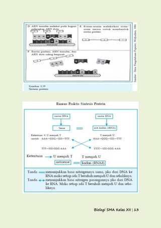 Biologi SMA Kelas XII | 13
 