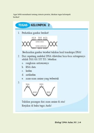Biologi SMA Kelas XII | 14
Agar lebih memahami tentang sintesis protein, lakukan tugas kelompok
berikut!
 