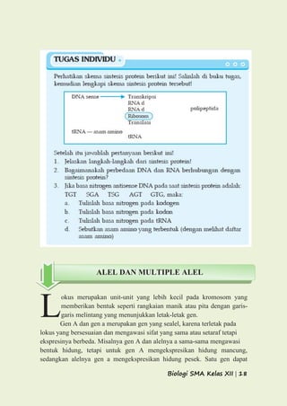 Biologi SMA Kelas XII | 18
okus merupakan unit-unit yang lebih kecil pada kromosom yang
memberikan bentuk seperti rangkaian manik atau pita dengan garis-
garis melintang yang menunjukkan letak-letak gen.
Gen A dan gen a merupakan gen yang sealel, karena terletak pada
lokus yang bersesuaian dan mengawasi sifat yang sama atau setaraf tetapi
ekspresinya berbeda. Misalnya gen A dan alelnya a sama-sama mengawasi
bentuk hidung, tetapi untuk gen A mengekspresikan hidung mancung,
sedangkan alelnya gen a mengekspresikan hidung pesek. Satu gen dapat
L
ALEL DAN MULTIPLE ALEL
 