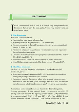 Biologi SMA Kelas XII | 20
stilah kromosom dikenalkan oleh W.Waldayer yang mengatakan bahwa
kromosom berasal dari dua kata, yaitu chroma yang berarti warna dan
soma berarti badan.
1. Sifat Kromosom
Sifat-sifat kromosom adalah:
a. Hanya terlihat pada waktu sel membelah.
b. Mempunyai ukuran panjang antara 0,2 – 40 m (mikron).
c. Kromosom pada sel prokariotik hanya memiliki satu kromosom dan tidak
terletak di dalam inti sel.
d. Kromosom sel eukariotik, jumlahnya bervariasi menurut jenis organisme
dan terdapat di dalam nukleus.
e. Umumnya memiliki susunan kimia yang terdiri dari kromatin 60%, protein
35%, DNA, dan RNA 5%.
f. Protein terdiri dari histon dan nonhiston (bersifat netral atau asam).
g. Memiliki beberapa enzim yang terlibat dalam sintesis DNA dan RNA.
2. Klasifikasi Kromosom
Berdasarkan jenis dan fungsinya, kromosom diklasifikasikan menjadi
dua macam, yaitu:
a. Kromosom autosom (kromosom tubuh), yaitu kromosom yang tidak ada
hubungannya dengan penentuan jenis kelamin.
b. Kromosom gonosom (kromosom seks), yaitu sepasang kromosom yang
menentukan jenis kelamin, pada umumnya dibedakan atas dua macam,
yaitu kromosom seks X dan kromosom seks Y (misalnya pada manusia).
Keseluruhan kromosom pada individu atau spesies dinamakan genom.
Seorang perempuan dewasa normal dalam kromosomnya memiliki 22
pasang kromosom autosom dan 1 pasang kromosom seks (XX) serta formula
kromosomnya adalah 22AA + XX atau 44A + XX. Pada laki-laki dewasa
normal memiliki sebuah kromosom X dan sebuah kromosom Y serta 22
I
KROMOSOM
 