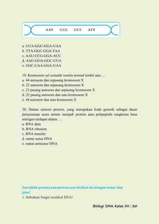 Biologi SMA Kelas XII | 30
a. UUA-GGC-GGA-UAA
b. TTA-GGC-GGA-TAA
c. AAU-CCG-GGA-AUU
d. AAU-GGA-GGC-UUA
e. GGC-UAA-GGA-UAA
19. Kromosom sel somatik wanita normal terdiri atas ....
a. 44 autosom dan sepasang kromosom X
b. 22 autosom dan sepasang kromosom X
c. 23 pasang autosom dan sepasang kromosom X
d. 22 pasang autosom dan satu kromosom X
e. 44 autosom dan satu kromosom X
20. Dalam sintesis protein, yang merupakan kode genetik sebagai dasar
penyusunan asam amino menjadi protein atau polipeptida rangkaian basa
nitrogen terdapat dalam ....
a. RNA duta
b. RNA ribosom
c. RNA transfer
d. rantai sense DNA
e. rantai antisense DNA
Jawablah pertanyaan-pertanyaan berikut ini dengan benar dan
jelas!
1. Sebutkan fungsi molekul DNA!
 
