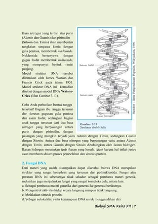 Biologi SMA Kelas XII | 7
Basa nitrogen yang terdiri atas purin
(Adenin dan Guanin) dan pirimidin
(Sitosin dan Timin) akan membentuk
rangkaian senyawa kimia dengan
gula pentosa, membentuk nukleosida.
Nukleosida bersenyawa dengan
gugus fosfat membentuk nukleotida,
yang mempunyai bentuk rantai
panjang.
Model struktur DNA tersebut
ditemukan oleh James Watson dan
Francis Crick pada tahun 1953.
Model struktur DNA ini kemudian
disebut dengan model DNA Watson-
Crick (lihat Gambar 3.13).
Coba Anda perhatikan bentuk tangga
tersebut! Bagian ibu tangga tersusun
dari deretan gugusan gula pentosa
dan asam fosfat, sedangkan bagian
anak tangga tersusun dari dua basa
nitrogen yang berpasangan antara
purin dengan pirimidin, dengan
pasangan yang mungkin terjadi yaitu Adenin dengan Timin, sedangkan Guanin
dengan Sitosin. Antara dua basa nitrogen yang berpasangan yaitu antara Adenin
dengan Timin, antara Guanin dengan Sitosin dihubungkan oleh ikatan hidrogen.
Ikatan hidrogen merupakan jenis ikatan yang lemah, tetapi karena hal inilah justru
akan membantu dalam proses pembelahan dan sintesis protein.
2. Fungsi DNA
Dari materi yang sudah disampaikan dapat diketahui bahwa DNA merupakan
struktur yang sangat kompleks yang tersusun dari polinukleotida. Fungsi atau
peranan DNA ini sebenarnya tidak sekadar sebagai pembawa materi genetik,
melainkan juga menjalankan fungsi yang sangat kompleks pula, antara lain:
a. Sebagai pembawa materi genetika dari generasi ke generasi berikutnya.
b. Mengontrol aktivitas hidup secara langsung maupun tidak langsung.
c. Melakukan sintesis protein.
d. Sebagai autokatalis, yaitu kemampuan DNA untuk menggandakan diri
 
