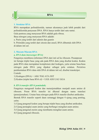 Biologi SMA Kelas XII | 9
1. Struktur RNA
RNA merupakan polinukleotida, namun ukurannya jauh lebih pendek dari
polinukleotida penyusun DNA. RNA hanya terdiri dari satu rantai.
Gula pentosa yang menyusun RNA adalah gula ribosa.
Basa nitrogen yang menyusun RNA adalah:
a. Purin yang terdiri dari adenin dan guanin
b. Pirimidin yang terdiri dari sitosin dan urasil, RNA dibentuk oleh DNA
di dalam inti sel.
2. Macam-Macam RNA
a. RNA duta (messenger RNA)
Fungsinya membawa informasi DNA dari inti sel ke ribosom. Pesanpesan
ini berupa triplet basa yang ada pada RNA duta yang disebut kodon. Kodon
pada RNA duta merupakan komplemen dari kodogen, yaitu urutan basa-basa
nitrogen pada DNA yang dipakai sebagai pola cetakan. Peristiwa
pembentukan RNA duta oleh DNA di dalam inti sel, disebut transkripsi.
Contoh:
1) Kodogen (DNA) = ASG TGG ATA SST
2) Kodon (triplet basa RNA d) = UGS ASS UAU GGA
b. RNA transfer (RNA pemindah)
Fungsinya mengenali kodon dan menerjemahkan menjadi asam amino di
ribosom. Peran RNA transfer ini dikenal dengan nama translasi
(penerjemahan). Urutan basa nitrogen pada RNA transfer disebut antikodon.
Bentuk RNA transfer seperti daun semanggi dengan 4 ujung yang penting,
yaitu:
1) Ujung pengenal kodon yang berupa triplet basa yang disebut antikodon.
2) Ujung perangkai asam amino yang berfungsi mengikat asam amino.
3) Ujung pengenal enzim yang membantu mengikat asam amino.
4) Ujung pengenal ribosom.
RNA
 
