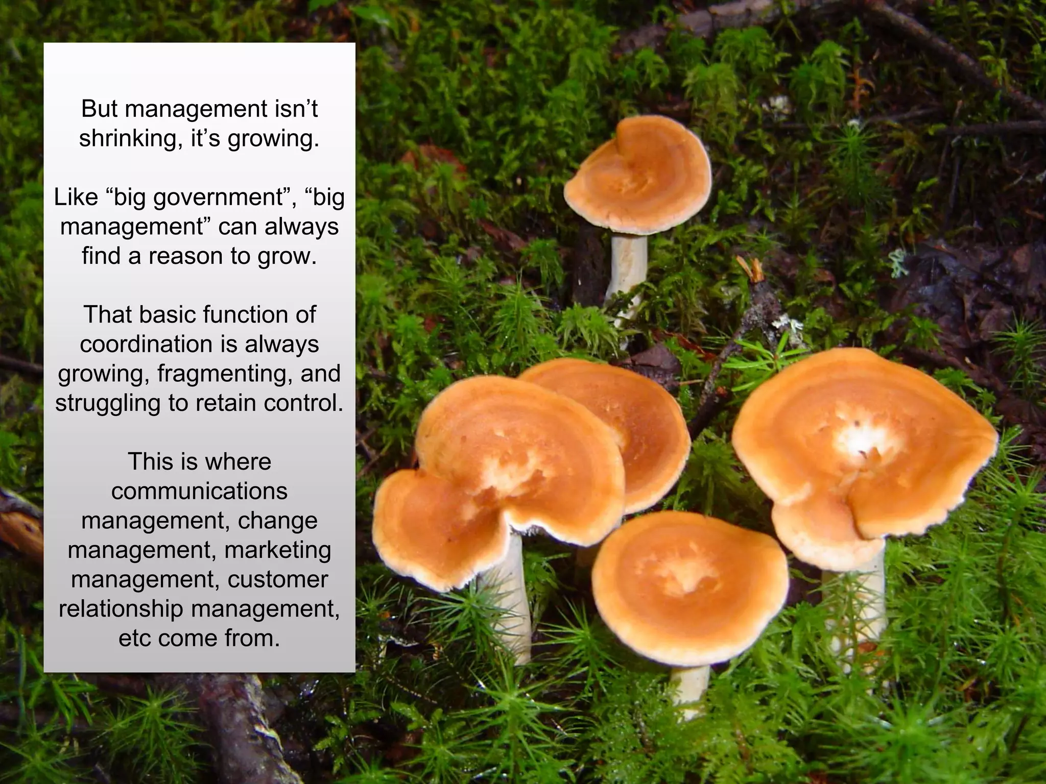But management isn’t
shrinking, it’s growing.
Like “big government”, “big
management” can always
find a reason to grow.
That basic function of
coordination is always
growing, fragmenting, and
struggling to retain control.
This is where
communications
management, change
management, marketing
management, customer
relationship management,
etc come from.
 