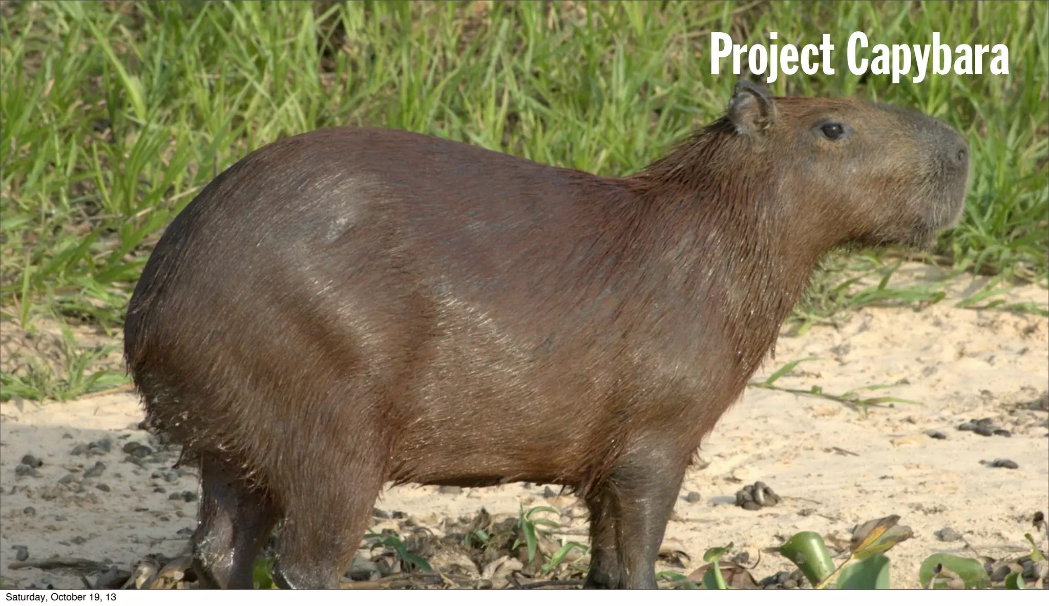 [ Open Humans Network ]
 