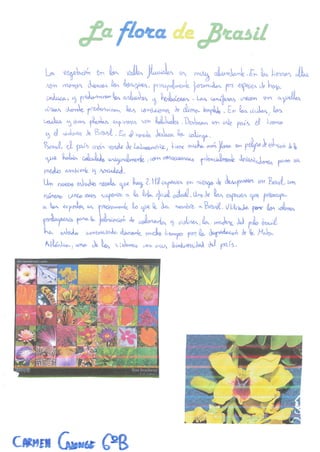 Mx m354 n-20170307_100124