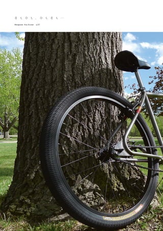 ROTOR FLOW 52-36T 172.5mm クランクセット MOTOCROSS INTERNATIONAL LTD 2012 BIKE & FRAME CATALOG | PDF