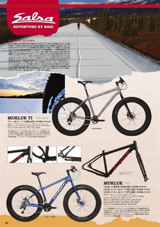 MOTOCROSS INTERNATIONAL LTD 2012 BIKE & FRAME CATALOG | PDF