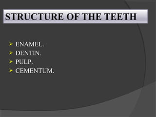  ENAMEL.
 DENTIN.
 PULP.
 CEMENTUM.
 