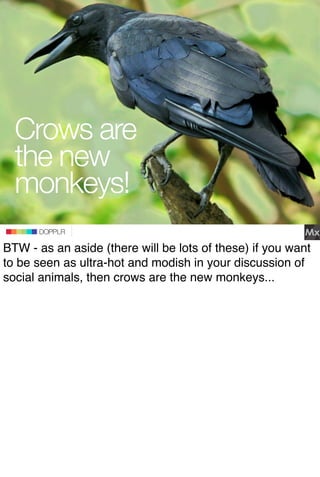 Crows are
  the new
  monkeys!DOPPLR
                   DOPPLR
          DOPPLR

BTW - as an aside (there will be lots of ...