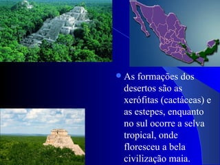    As formações dos
    desertos são as
    xerófitas (cactáceas) e
    as estepes, enquanto
    no sul ocorre a selva
    tropical, onde
    floresceu a bela
    civilização maia.
 