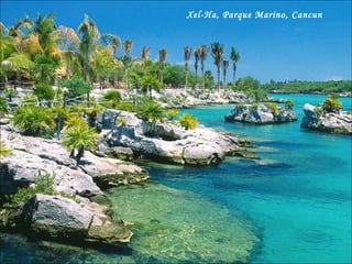Xel-Ha, Parque Marino, Cancun 