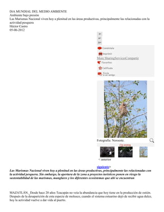 DíA MUNDIAL DEL MEDIO AMBIENTE
Ambiente bajo presión
Las Marismas Nacional viven hoy a plenitud en las áreas productivas, principalmente las relacionadas con la
actividad pesquera
Héctor Castro
05-06-2012
More SharingServicesCompartir
Fotografía: Noroeste.
< anterior
siguiente>
Las Marismas Nacional viven hoy a plenitud en las áreas productivas, principalmente las relacionadas con
la actividad pesquera. Sin embargo, la apertura de la zona a proyectos turísticos ponen en riesgo la
sustentabilidad de las marismas, manglares y los diferentes ecosistemas que ahí se encuentran
MAZATLÁN._Desde hace 20 años Teacapán no veía la abundancia que hoy tiene en la producción de ostión.
Después de la desaparición de esta especie de molusco, cuando el sistema estuarino dejó de recibir agua dulce,
hoy la actividad vuelve a dar vida al puerto.
 
