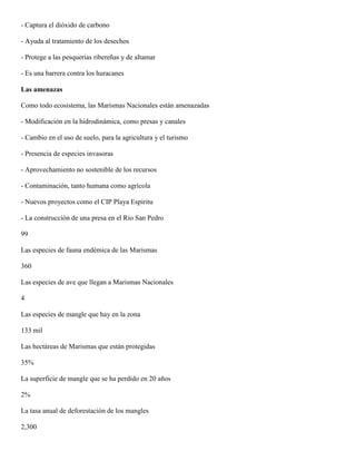 - Captura el dióxido de carbono
- Ayuda al tratamiento de los desechos
- Protege a las pesquerías ribereñas y de altamar
- Es una barrera contra los huracanes
Las amenazas
Como todo ecosistema, las Marismas Nacionales están amenazadas
- Modificación en la hidrodinámica, como presas y canales
- Cambio en el uso de suelo, para la agricultura y el turismo
- Presencia de especies invasoras
- Aprovechamiento no sostenible de los recursos
- Contaminación, tanto humana como agrícola
- Nuevos proyectos como el CIP Playa Espíritu
- La construcción de una presa en el Río San Pedro
99
Las especies de fauna endémica de las Marismas
360
Las especies de ave que llegan a Marismas Nacionales
4
Las especies de mangle que hay en la zona
133 mil
Las hectáreas de Marismas que están protegidas
35%
La superficie de mangle que se ha perdido en 20 años
2%
La tasa anual de deforestación de los mangles
2,300
 