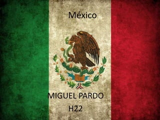 México
MIGUEL PARDO
H22
 