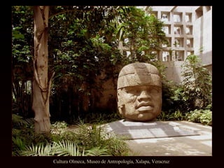 Cultura Olmeca, Museo de Antropología, Xalapa, Veracruz  