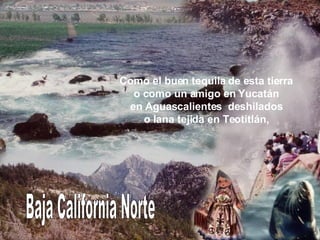 Baja California Norte Como el buen tequila de esta tierra o como un amigo en Yucatán en Aguascalientes  deshilados o lana tejida en Teotitlán, 