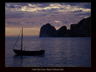 Cabo San Lucas, Baja California Sur  