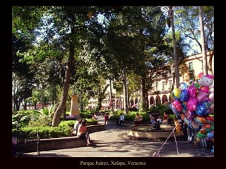 Parque Juárez, Xalapa, Veracruz 