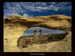 Desierto de Durango 