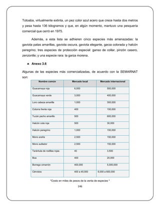 Totoaba, virtualmente extinta, un pez color azul acero que crece hasta dos metros
y pesa hasta 136 kilogramos y que, en algún momento, mantuvo una pesquería
comercial que cerró en 1975.

       Además, a esta lista se adhieren cinco especies más amenazadas: la
gaviota patas amarillas, gaviota oscura, gaviota elegante, garza colorada y halcón
peregrino; tres especies de protección especial: ganso de collar, pinzón casero,
zenzontle; y una especie rara: la garza morena.

    Anexo 3.6

Algunas de las especies más comercializadas, de acuerdo con la SEMARNAT
son:
             Nombre común                   Mercado local           Mercado internacional

       Guacamaya roja                         6,000                      500,000

       Guacamaya verde                        3,000                      400,000

       Loro cabeza amarilla                   1,000                      300,000

       Cotorra frente roja                    400                        150,000

       Tucán pecho amarillo                   500                        600,000

       Halcón cola roja                       500                        30,000

       Halcón peregrino                       1,000                      150,000

       Mono araña                             2,500                      150,000

       Mono aullador                          2,500                      150,000

       Tarántula de rodillas rojas            40                         3,500

       Boa                                    400                        20,000

       Borrego cimarrón                       400,000                    5,000,000

       Cérvidos                               400 a 45,000       6,000 a 600,000


                          *Costo en miles de pesos de la venta de especies *

                                                   146
 