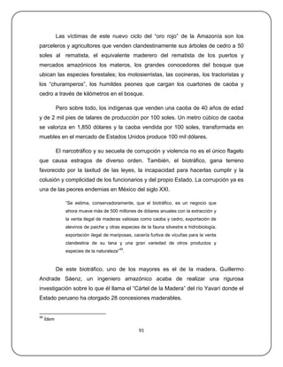Las víctimas de este nuevo ciclo del ―oro rojo‖ de la Amazonía son los
parceleros y agricultores que venden clandestinamente sus árboles de cedro a 50
soles al rematista, el equivalente maderero del rematista de los puertos y
mercados amazónicos los materos, los grandes conocedores del bosque que
ubican las especies forestales; los motosierristas, las cocineras, los tractoristas y
los ―churamperos‖, los humildes peones que cargan los cuartones de caoba y
cedro a través de kilómetros en el bosque.

            Pero sobre todo, los indígenas que venden una caoba de 40 años de edad
y de 2 mil pies de talares de producción por 100 soles. Un metro cúbico de caoba
se valoriza en 1,850 dólares y la caoba vendida por 100 soles, transformada en
muebles en el mercado de Estados Unidos produce 100 mil dólares.

            El narcotráfico y su secuela de corrupción y violencia no es el único flagelo
que causa estragos de diverso orden. También, el biotráfico, gana terreno
favorecido por la laxitud de las leyes, la incapacidad para hacerlas cumplir y la
colusión y complicidad de los funcionarios y del propio Estado. La corrupción ya es
una de las peores endemias en México del siglo XXI.

                ―Se estima, conservadoramente, que el biotráfico, es un negocio que
                ahora mueve más de 500 millones de dólares anuales con la extracción y
                la venta ilegal de maderas valiosas como caoba y cedro, exportación de
                alevinos de paiche y otras especies de la fauna silvestre e hidrobiología,
                exportación ilegal de mariposas, cacería furtiva de vicuñas para la venta
                clandestina de su lana y una gran variedad de otros productos y
                                          59
                especies de la naturaleza‖ .



            De este biotráfico, uno de los mayores es el de la madera. Guillermo
Andrade Sáenz, un ingeniero amazónico acaba de realizar una rigurosa
investigación sobre lo que él llama el ―Cártel de la Madera‖ del río Yavarí donde el
Estado peruano ha otorgado 28 concesiones maderables.


59
     Ídem

                                                    91
 
