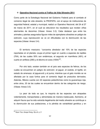  Operativo Nacional contra el Tráfico de Vida Silvestre 2011

Como parte de la Estrategia Nacional del Gobierno Federal para el combate al
comercio ilegal de vida silvestre, la PROFEPA, con el apoyo de instituciones de
seguridad federal, estatal y municipal, realizó un Operativo Nacional, del 24 al 27
de marzo de 2011, en el cual se obtuvieron los resultados que revelan cifras
alarmantes de decomiso (Véase: Anexo 3.3). Cabe destacar que entre los
animales y plantas asegurados figuran miles de ejemplares silvestres en peligro de
extinción, cuya reproducción se ve en dificultades con la disminución de las
especies (Véase: Anexo 3.4).



          El territorio mexicano: ―concentra alrededor del 10% de las especies
reportadas en el planeta; ocupa el primer lugar en cuanto a especies de reptiles
(704), de las cuales 50% son endémicas, el segundo en mamíferos (491), el
cuarto en anfibios (290) y el décimo en aves (1054)‖63.


          Por otro lado, existen también en el país seis especies de felinos, de los
cuales se encuentran en peligro de extinción: el jaguar, el ocelote, el tigrillo; en
estado de amenaza: el jaguarundi y el puma; mientras que el gato montés se ve
afectada por la caza furtiva para el comercio ilegal de productos derivados.
Además, México cuenta con 22 especies psitaciformes como la guacamaya roja,
entre otros, 20 de las cuales se encuentran dentro de las categorías de riesgo.
(Véase: Anexo 3.5)


          Lo peor de todo es que, la mayoría de las especies son atrapadas
violentamente, transportadas y alimentadas de manera inadecuada. Asimismo, al
adquirir fauna que ha sido extraída ilegalmente del medio silvestre se contribuye a
la disminución de sus poblaciones, a la pérdida de variabilidad genética y en


63
     Soon Yoo, Anaya Hong. Op cit. p. 2

                                          97
 