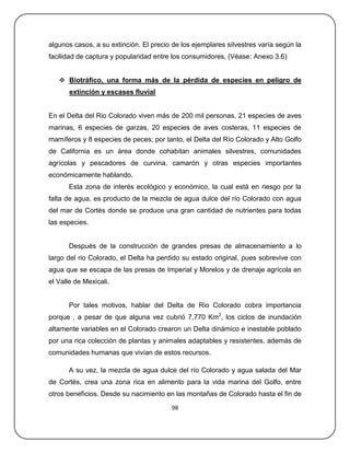 algunos casos, a su extinción. El precio de los ejemplares silvestres varía según la
facilidad de captura y popularidad entre los consumidores, (Véase: Anexo 3.6)


    Biotráfico, una forma más de la pérdida de especies en peligro de
       extinción y escases fluvial


En el Delta del Rio Colorado viven más de 200 mil personas, 21 especies de aves
marinas, 6 especies de garzas, 20 especies de aves costeras, 11 especies de
mamíferos y 8 especies de peces; por tanto, el Delta del Río Colorado y Alto Golfo
de California es un área donde cohabitan animales silvestres, comunidades
agrícolas y pescadores de curvina, camarón y otras especies importantes
económicamente hablando.
       Esta zona de interés ecológico y económico, la cual está en riesgo por la
falta de agua, es producto de la mezcla de agua dulce del río Colorado con agua
del mar de Cortés donde se produce una gran cantidad de nutrientes para todas
las especies.


       Después de la construcción de grandes presas de almacenamiento a lo
largo del rio Colorado, el Delta ha perdido su estado original, pues sobrevive con
agua que se escapa de las presas de Imperial y Morelos y de drenaje agrícola en
el Valle de Mexicali.


       Por tales motivos, hablar del Delta de Rio Colorado cobra importancia
porque , a pesar de que alguna vez cubrió 7,770 Km2, los ciclos de inundación
altamente variables en el Colorado crearon un Delta dinámico e inestable poblado
por una rica colección de plantas y animales adaptables y resistentes, además de
comunidades humanas que vivían de estos recursos.

       A su vez, la mezcla de agua dulce del río Colorado y agua salada del Mar
de Cortés, crea una zona rica en alimento para la vida marina del Golfo, entre
otros beneficios. Desde su nacimiento en las montañas de Colorado hasta el fin de
                                        98
 