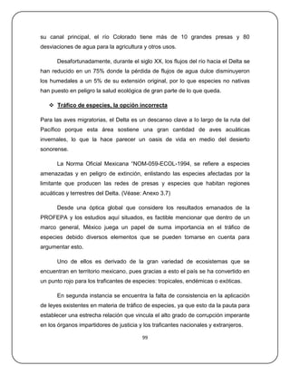 su canal principal, el río Colorado tiene más de 10 grandes presas y 80
desviaciones de agua para la agricultura y otros usos.

      Desafortunadamente, durante el siglo XX, los flujos del río hacia el Delta se
han reducido en un 75% donde la pérdida de flujos de agua dulce disminuyeron
los humedales a un 5% de su extensión original, por lo que especies no nativas
han puesto en peligro la salud ecológica de gran parte de lo que queda.

    Tráfico de especies, la opción incorrecta

Para las aves migratorias, el Delta es un descanso clave a lo largo de la ruta del
Pacífico porque esta área sostiene una gran cantidad de aves acuáticas
invernales, lo que la hace parecer un oasis de vida en medio del desierto
sonorense.

      La Norma Oficial Mexicana ―NOM-059-ECOL-1994, se refiere a especies
amenazadas y en peligro de extinción, enlistando las especies afectadas por la
limitante que producen las redes de presas y especies que habitan regiones
acuáticas y terrestres del Delta. (Véase: Anexo 3.7)

      Desde una óptica global que considere los resultados emanados de la
PROFEPA y los estudios aquí situados, es factible mencionar que dentro de un
marco general, México juega un papel de suma importancia en el tráfico de
especies debido diversos elementos que se pueden tomarse en cuenta para
argumentar esto.

      Uno de ellos es derivado de la gran variedad de ecosistemas que se
encuentran en territorio mexicano, pues gracias a esto el país se ha convertido en
un punto rojo para los traficantes de especies: tropicales, endémicas o exóticas.

      En segunda instancia se encuentra la falta de consistencia en la aplicación
de leyes existentes en materia de tráfico de especies, ya que esto da la pauta para
establecer una estrecha relación que vincula el alto grado de corrupción imperante
en los órganos impartidores de justicia y los traficantes nacionales y extranjeros.

                                         99
 