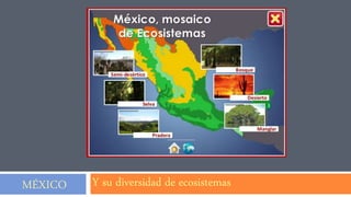 MÉXICO Y su diversidad de ecosistemas
 