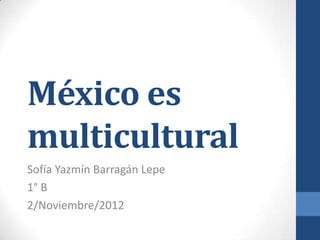 México es
multicultural
Sofía Yazmín Barragán Lepe
1° B
2/Noviembre/2012
 