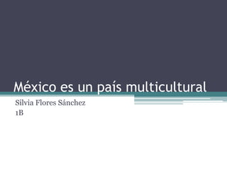 México es un país multicultural
Silvia Flores Sánchez
1B
 