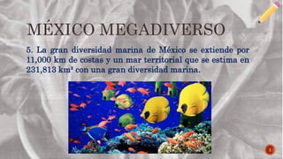 MÉXICO MEGADIVERSO
1
5. La gran diversidad marina de México se extiende por
11,000 km de costas y un mar territorial que se estima en
231,813 km² con una gran diversidad marina.
 